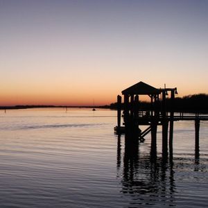 Meet your Posher, Carly